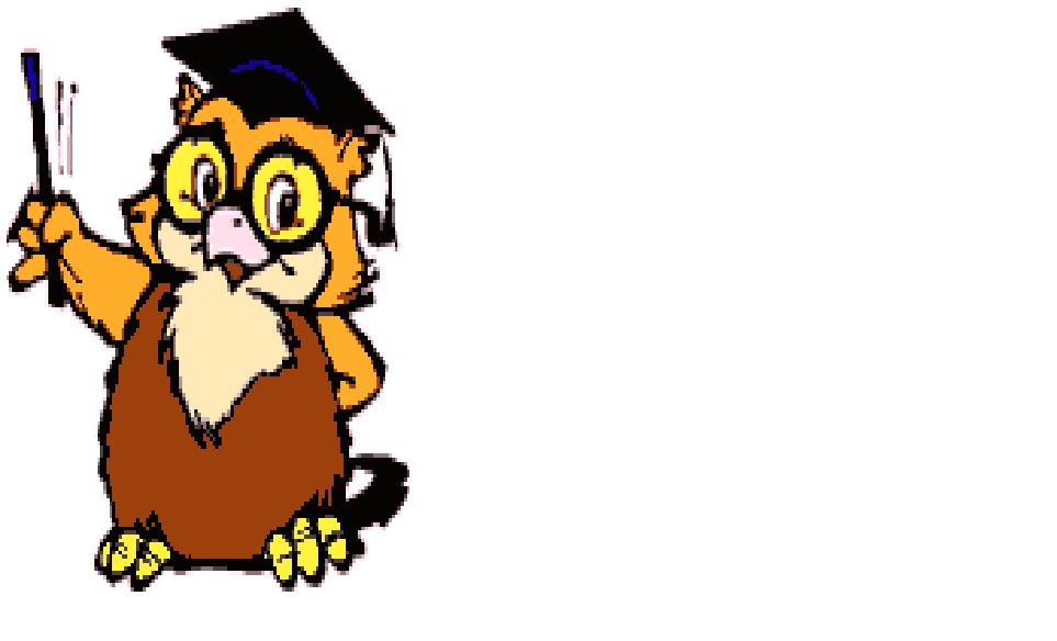 owl1.jpg